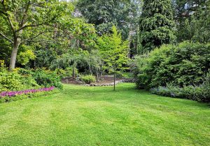 Optimiser l'expérience du jardin à Neuville-sur-Oise